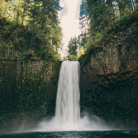 Meet your Posher, JaeAnna - Picture 1 of 1